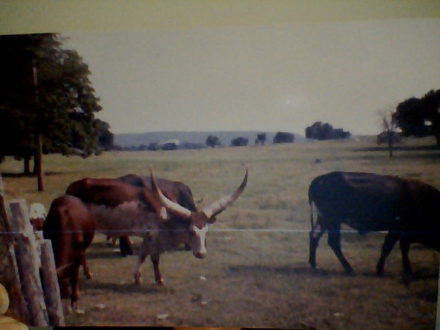 WIN_20200611_19_27_59_Pro