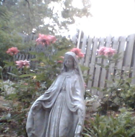 WIN_20200713_20_21_46_Pro (2)