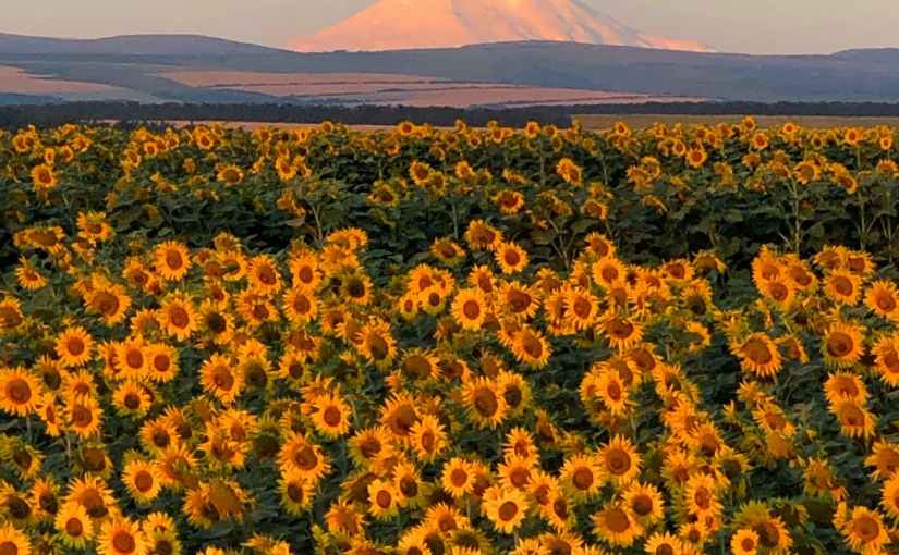 Grandma Mae: A&nbsp;Poem