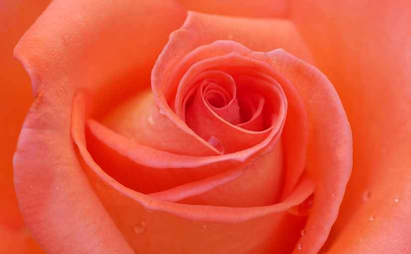 Everything That We Need. .&nbsp;.