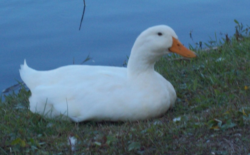 Beauty to Begin the&nbsp;Week