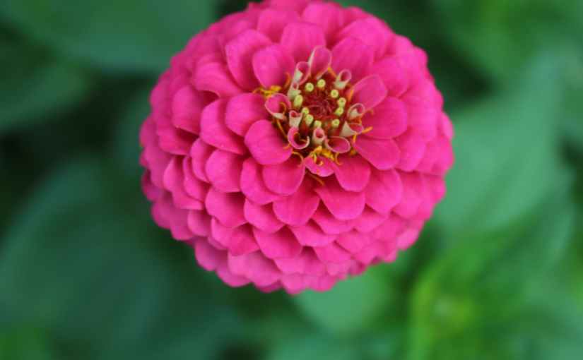 Summer Reminds Me. .&nbsp;.