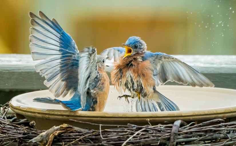 Extraordinary in the&nbsp;Ordinary