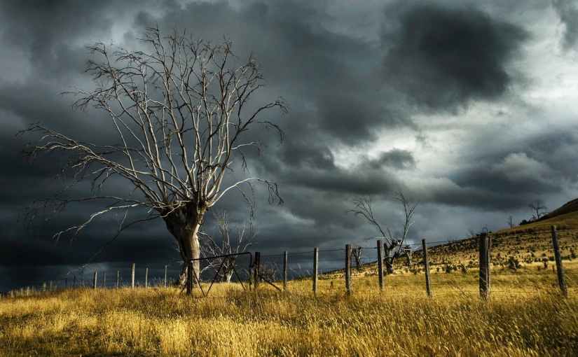 Last Sunday in March, a&nbsp;poem