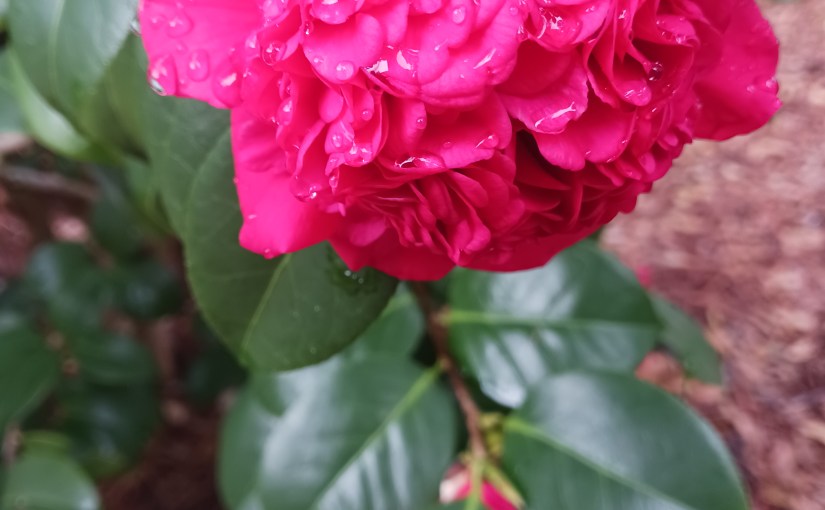 A Walk in&nbsp;Winter