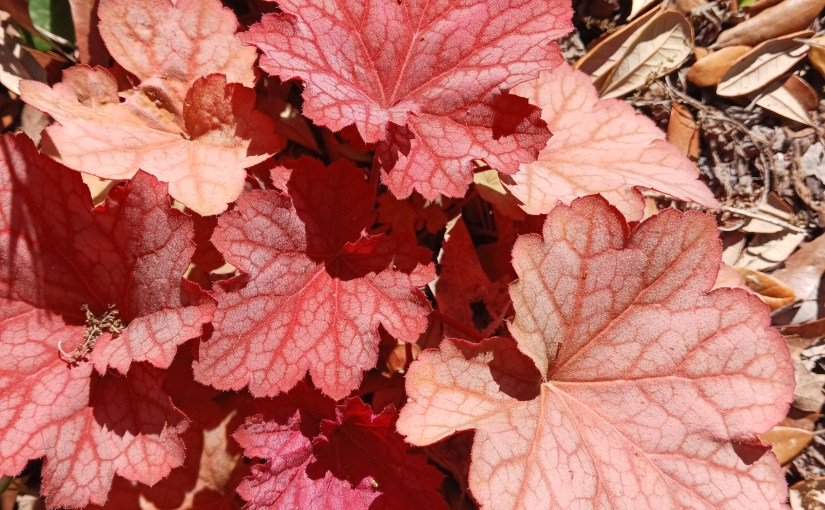 Make it Make&nbsp;Sense