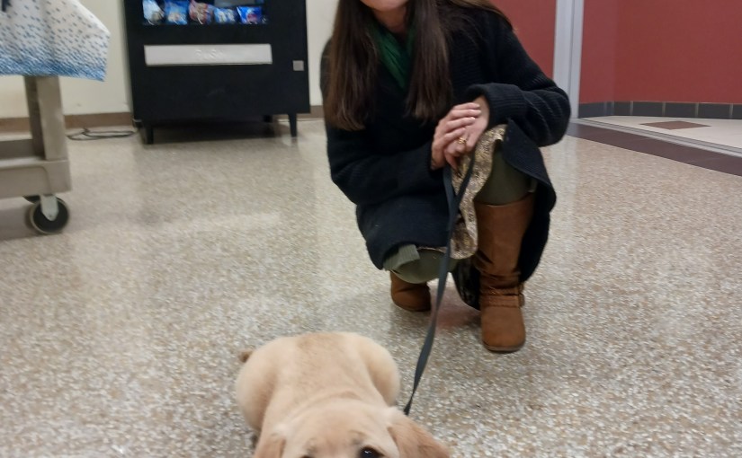 To the Dogs. .&nbsp;.