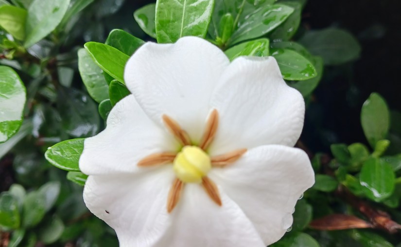 Is It Just My&nbsp;Imagination?