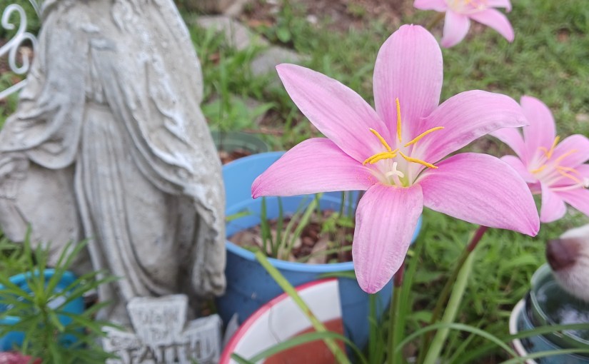 Standing in the&nbsp;Pause