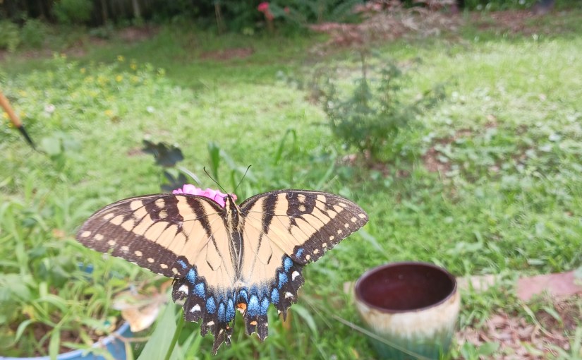 Surprises . . .in the storm. .&nbsp;.