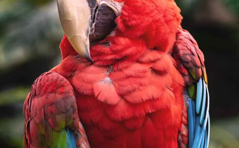 Shades of Purple: A Short Story&nbsp;Sketch